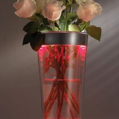 The Color Adjusting Illuminated Vase