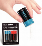 Salt+Power