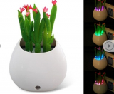 Simulate Cactus Potted Plant Design LED Night Light