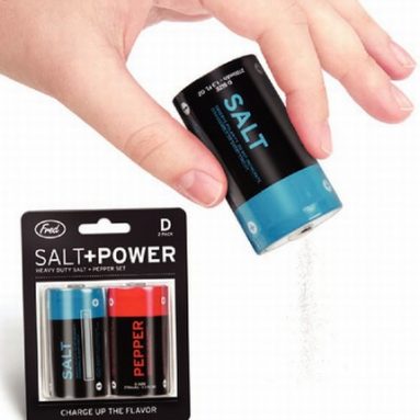 Salt+Power