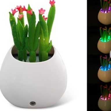 Simulate Cactus Potted Plant Design LED Night Light