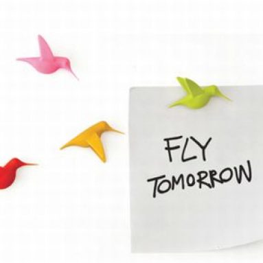 Humming Bird’s Message Magnet