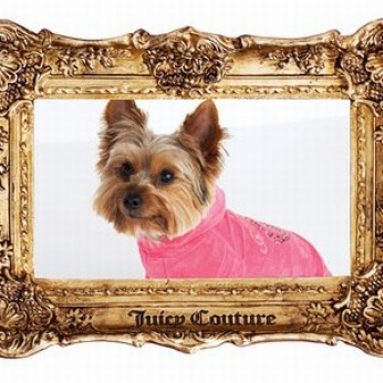 Digital Photo Frame Juicy Couture