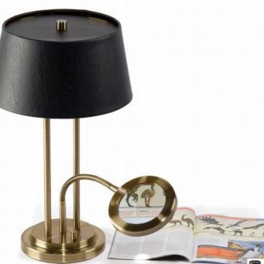The Desk Lamp With Lighted Magnifier