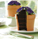 Perfect Endings Blooming Flower Pot Cake