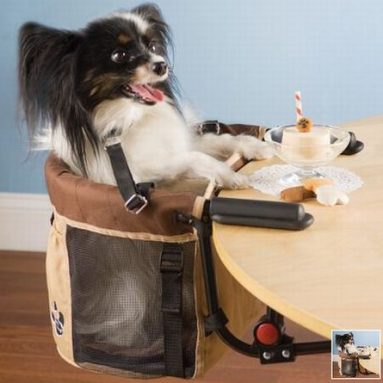 The Pet High Chair
