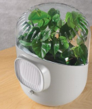 Botanical Air Purifier