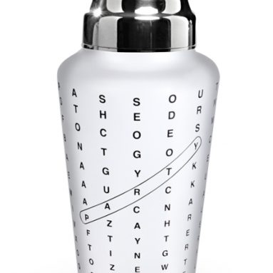 Wasted Word Search Glass Cocktail Shaker