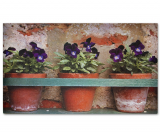 Printed Doormat – Flower Pots