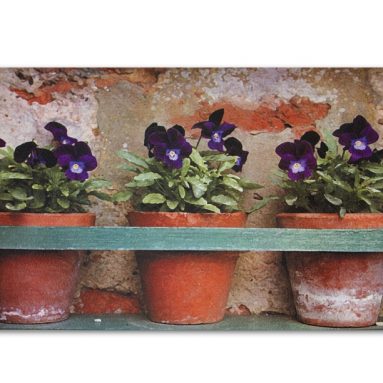 Printed Doormat – Flower Pots