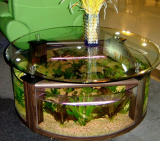 Oval Coffee Table Aquarium