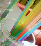 Colour Changing Drinking Straws