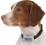 The Bark Deterring Ultrasonic Collar