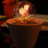 Creative Energy Saving Led Table Light Glass Globe Shade