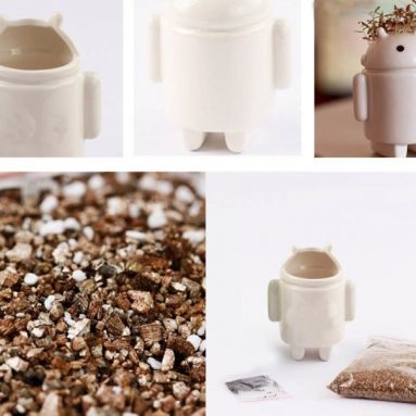 Desk Small Bonsai Home Decor