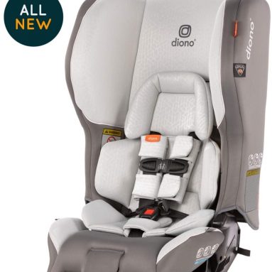 Diono Rainier 2AX Convertible Car Seat