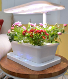 Hydroponics  Soil Indoor FlowersVegetable Planter Growing Lamp
