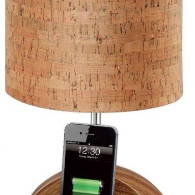 Docking Station with FM Radio and Alarm Clock for iPod and iPhone