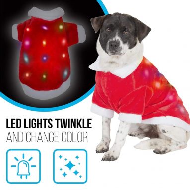 Dog Christmas Costume with Lights