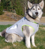 Dog Cooling Vest Harness Cooler Jacket