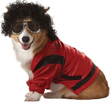 Pop King Md Cat and Dog Costume Halloween Costume