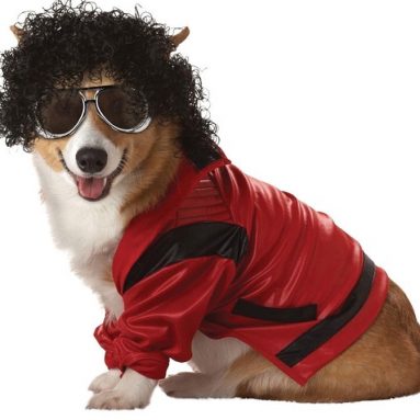 Pop King Md Cat and Dog Costume Halloween Costume