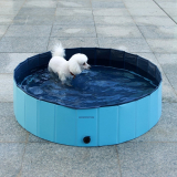Dog Pool