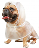 Dog Raincoat Rain Coat Jacket Poncho
