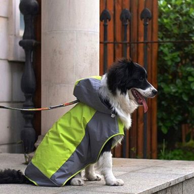 Doggie Raincoat