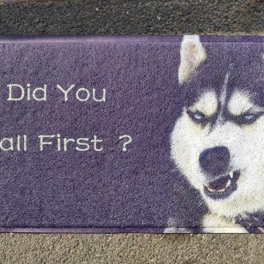 Door Mat Floor Mat Did You Call First Funny Dog