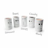 Double Walled Insulation Mood Mugs