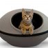 Pounce Interactive Cat Toy