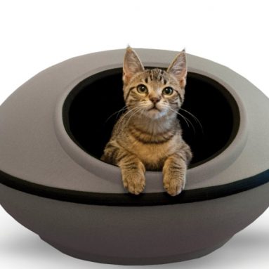 Dream Pod for Pets