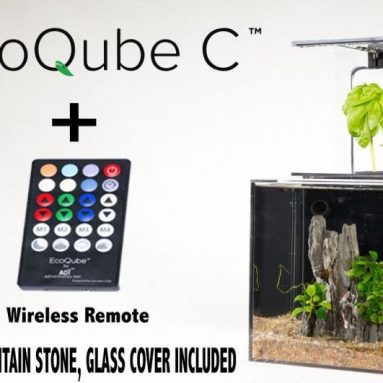EcoQube Aquarium- Desktop Aquarium Kit