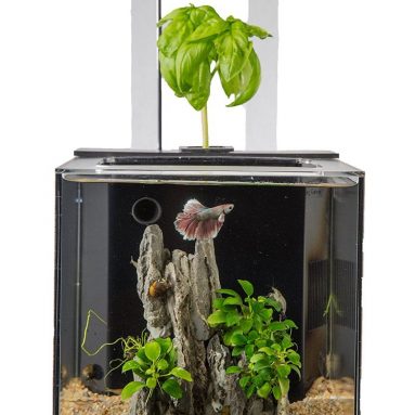 EcoQube C Wireless Remote Aquarium