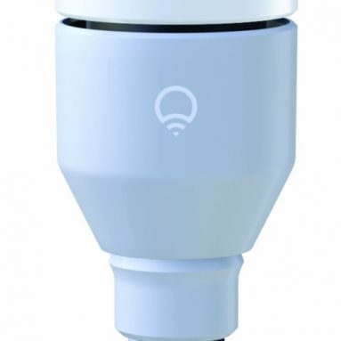 Edison Screw Light Bulb