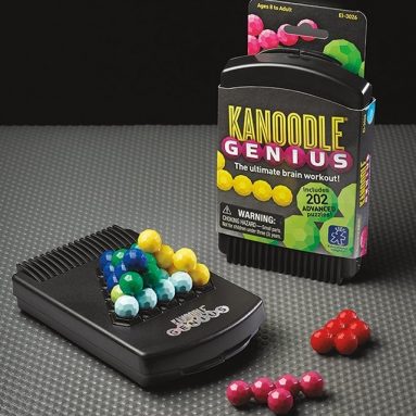 Educational Insights Kanoodle Genius Game