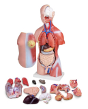 SmartLab Toys That’s Gross Science Lab