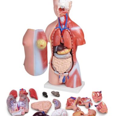 SmartLab Toys That’s Gross Science Lab