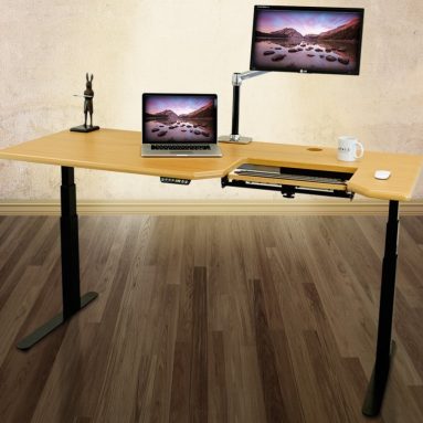 Electric Adjustable Height Standing Desk