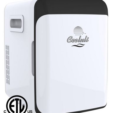 Electric Mini Fridge Cooler and Warmer