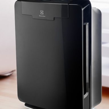 Electrolux PureOxygen Allergy 450 Ultra Allergen Odor HEPA 5