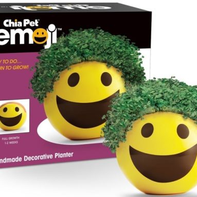 Emoji Smiley Handmade Decorative Planter