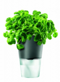 Eva Solo Herb Pot Self-Watering