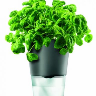 Eva Solo Herb Pot Self-Watering
