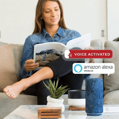 FABRIQ Chorus Wifi and Bluetooth Smart Speaker with Amazon Alexa