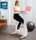 FLEXISPOT Home Office Standing Desk Exercise Bike