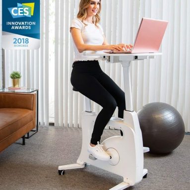 FLEXISPOT Home Office Standing Desk Exercise Bike