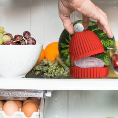 FRIDGE LID LEFTOVER SAVER