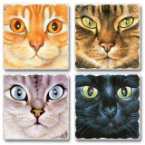 Feline Kitten Cat Face Absorbent Coasters Set